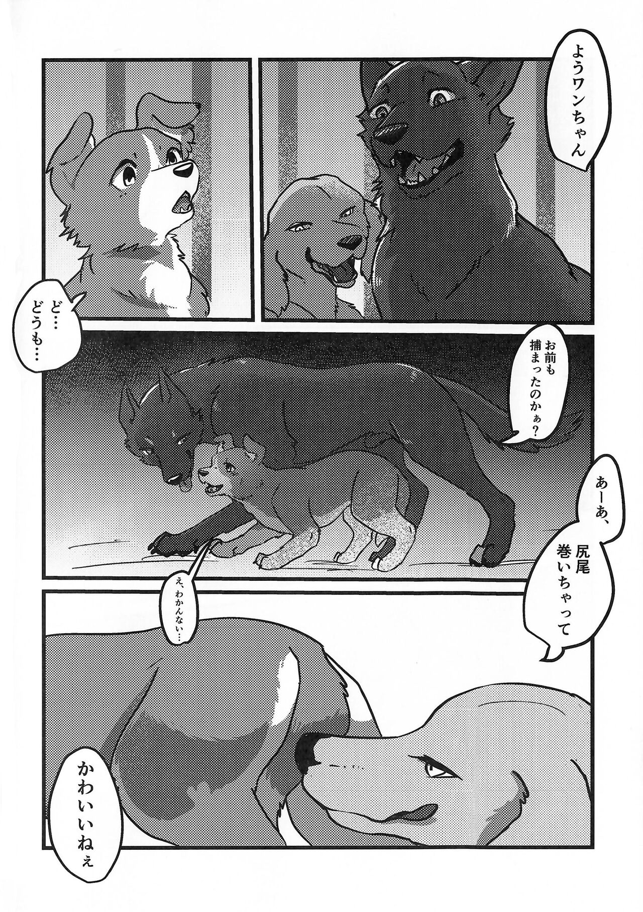 (Shinshun Kemoket 10) [Kon Juuichibai (Momou)] DOG.IN.CAGE The best in corn 画像番号 3