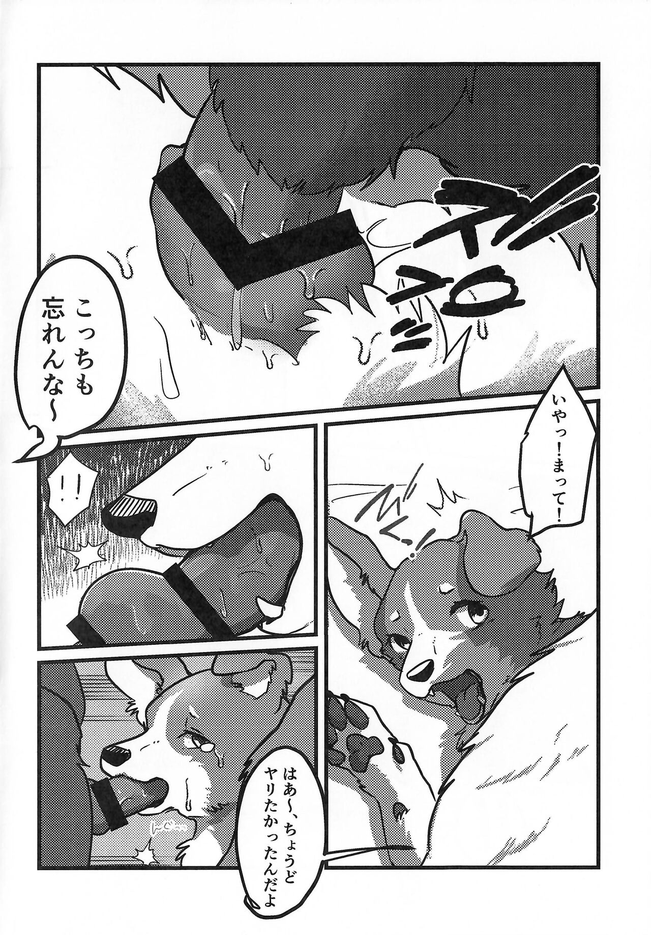 (Shinshun Kemoket 10) [Kon Juuichibai (Momou)] DOG.IN.CAGE The best in corn 画像番号 5