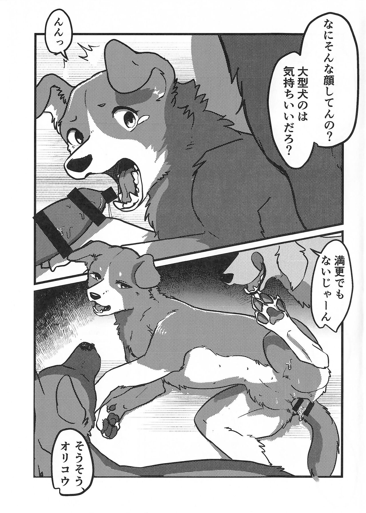 (Shinshun Kemoket 10) [Kon Juuichibai (Momou)] DOG.IN.CAGE The best in corn 画像番号 6