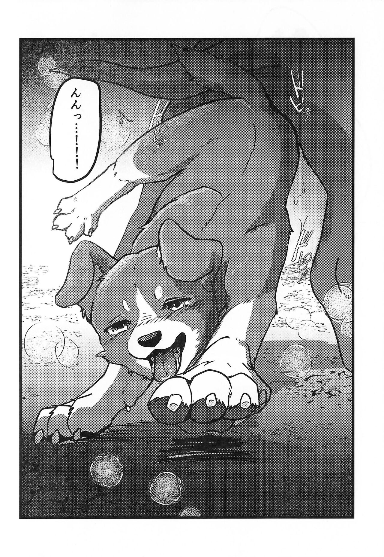 (Shinshun Kemoket 10) [Kon Juuichibai (Momou)] DOG.IN.CAGE The best in corn 画像番号 9