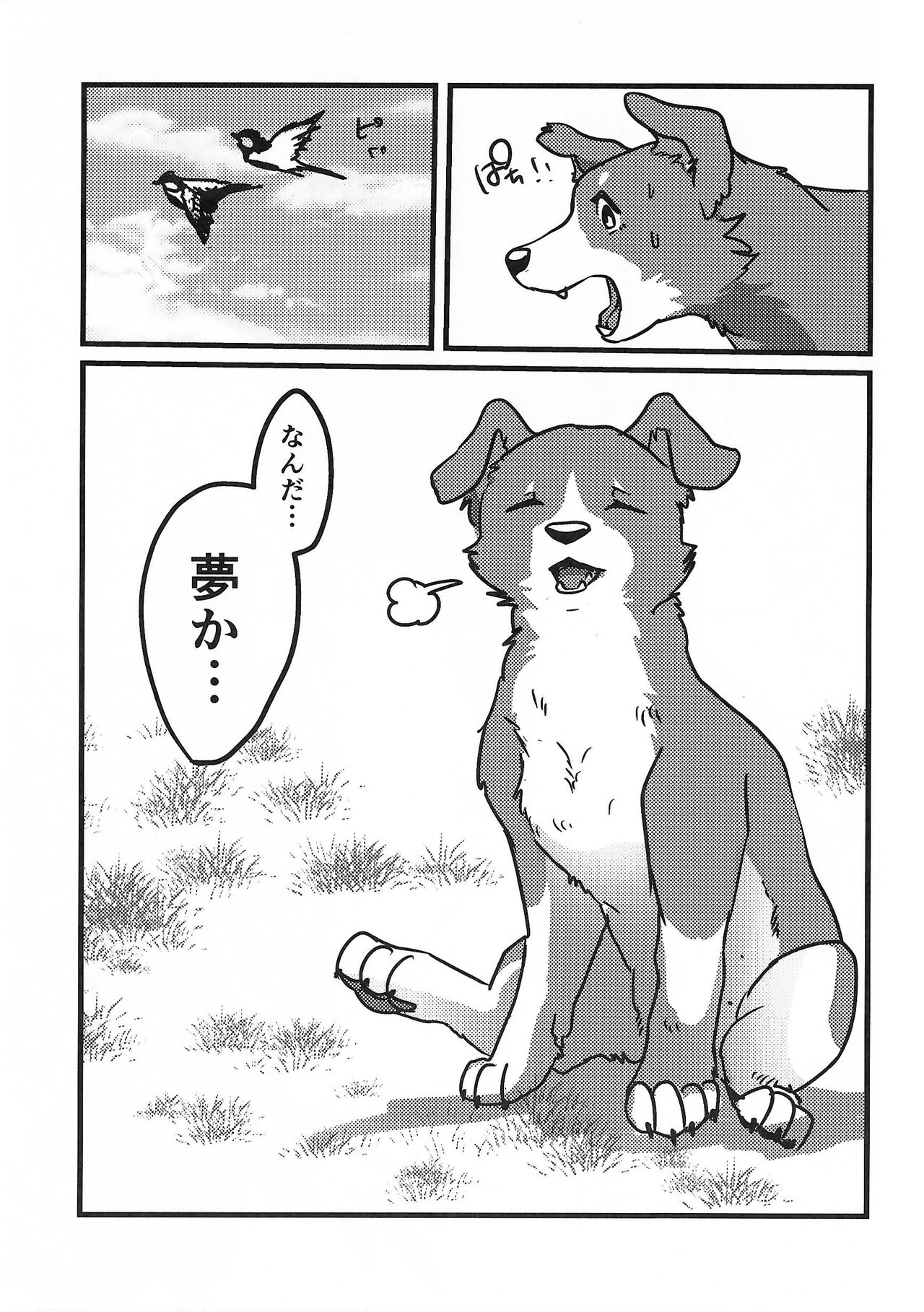 (Shinshun Kemoket 10) [Kon Juuichibai (Momou)] DOG.IN.CAGE The best in corn 画像番号 10