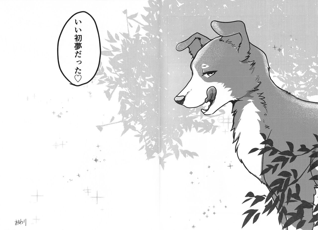 (Shinshun Kemoket 10) [Kon Juuichibai (Momou)] DOG.IN.CAGE The best in corn 画像番号 11