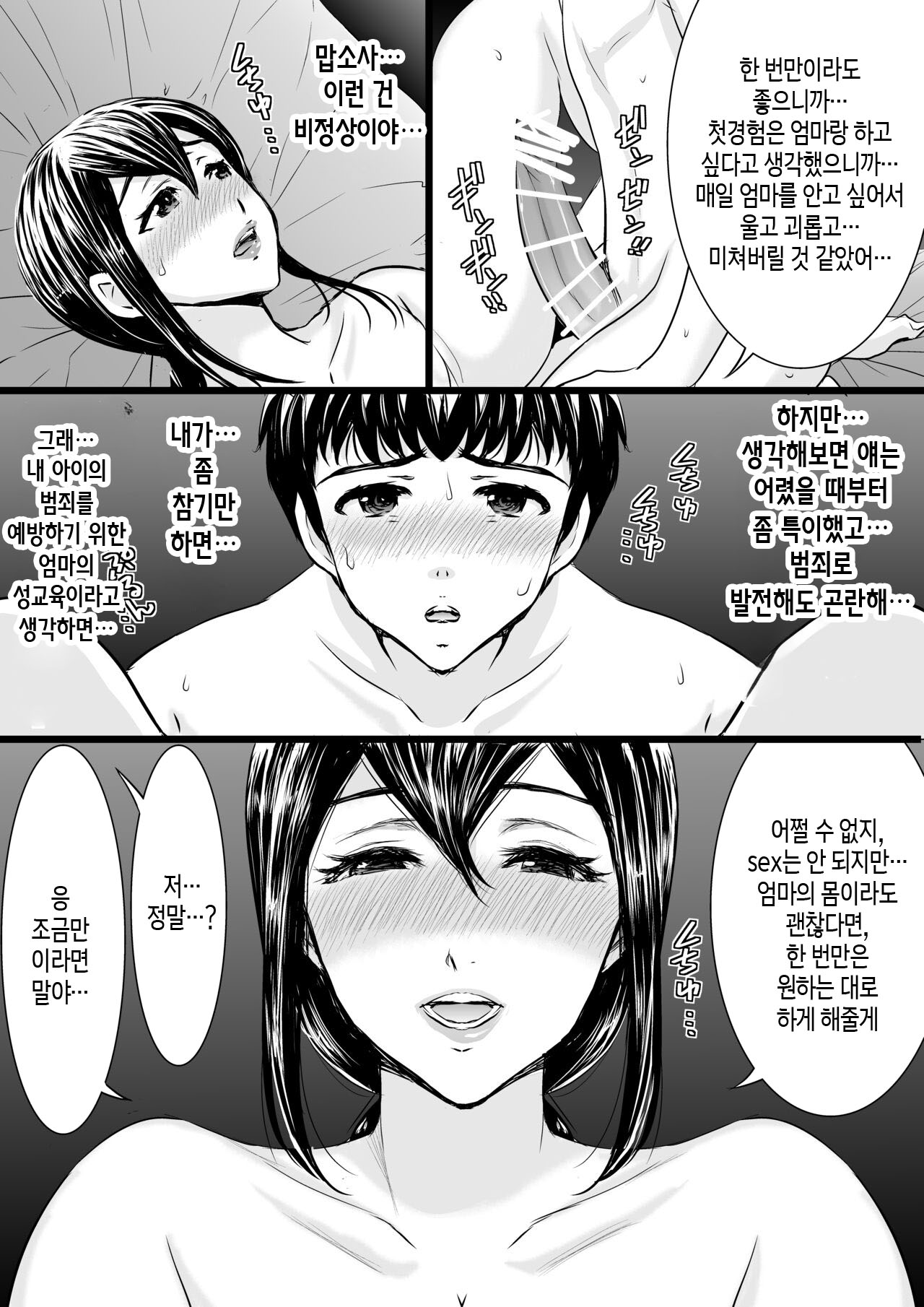 [Zuikidou] Yasashii Kaa-san ni Tsukekonde Nakadashi Rape Takuran | 상냥한 엄마를 이용해 질내사정 강간 탁란 [Korean] [팀 숙녀] Bildnummer 26