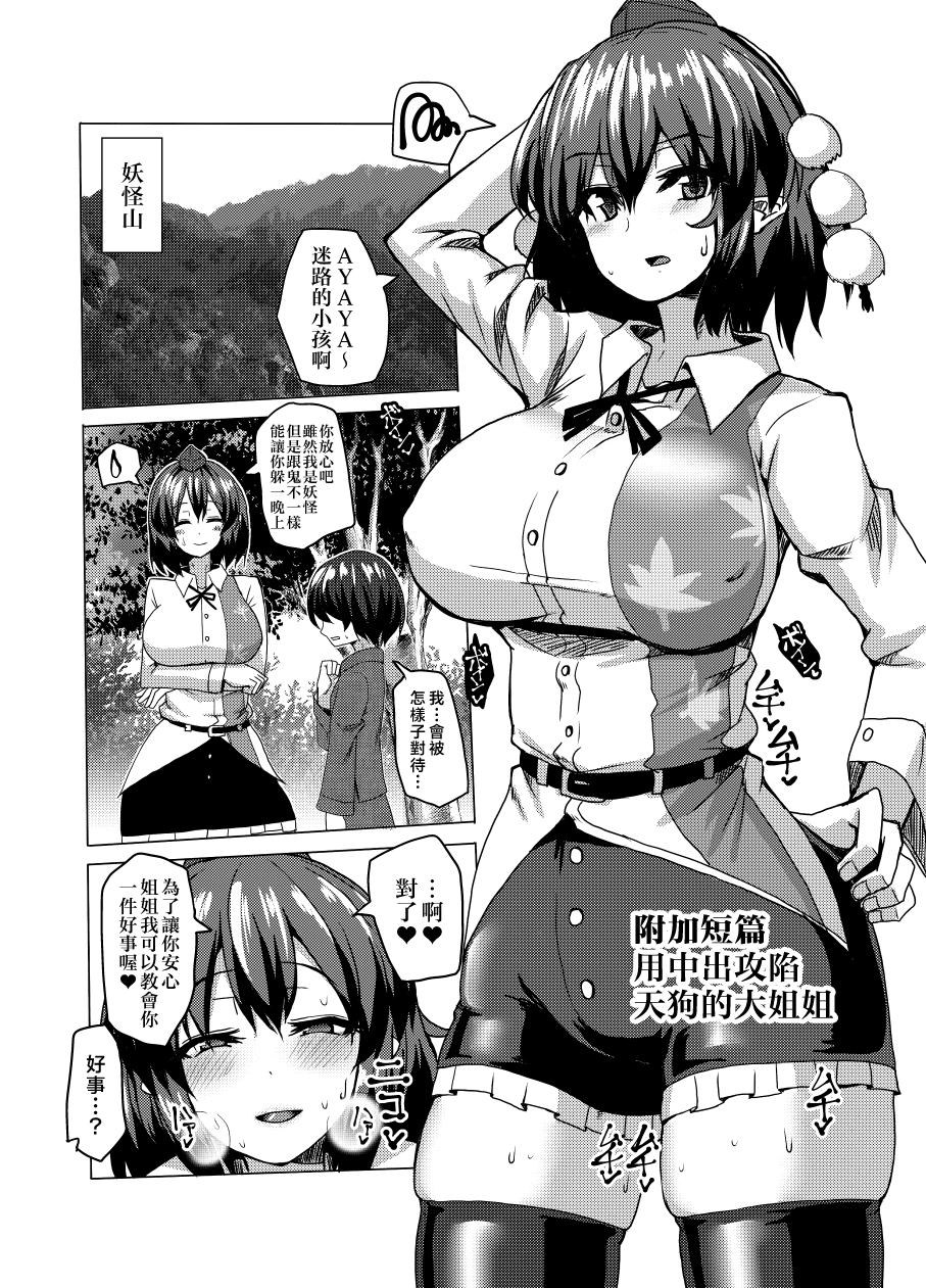 [Chinchintei (chin)] Namahame Omikuji (Touhou Project) [Chinese] [Digital] numero di immagine  14