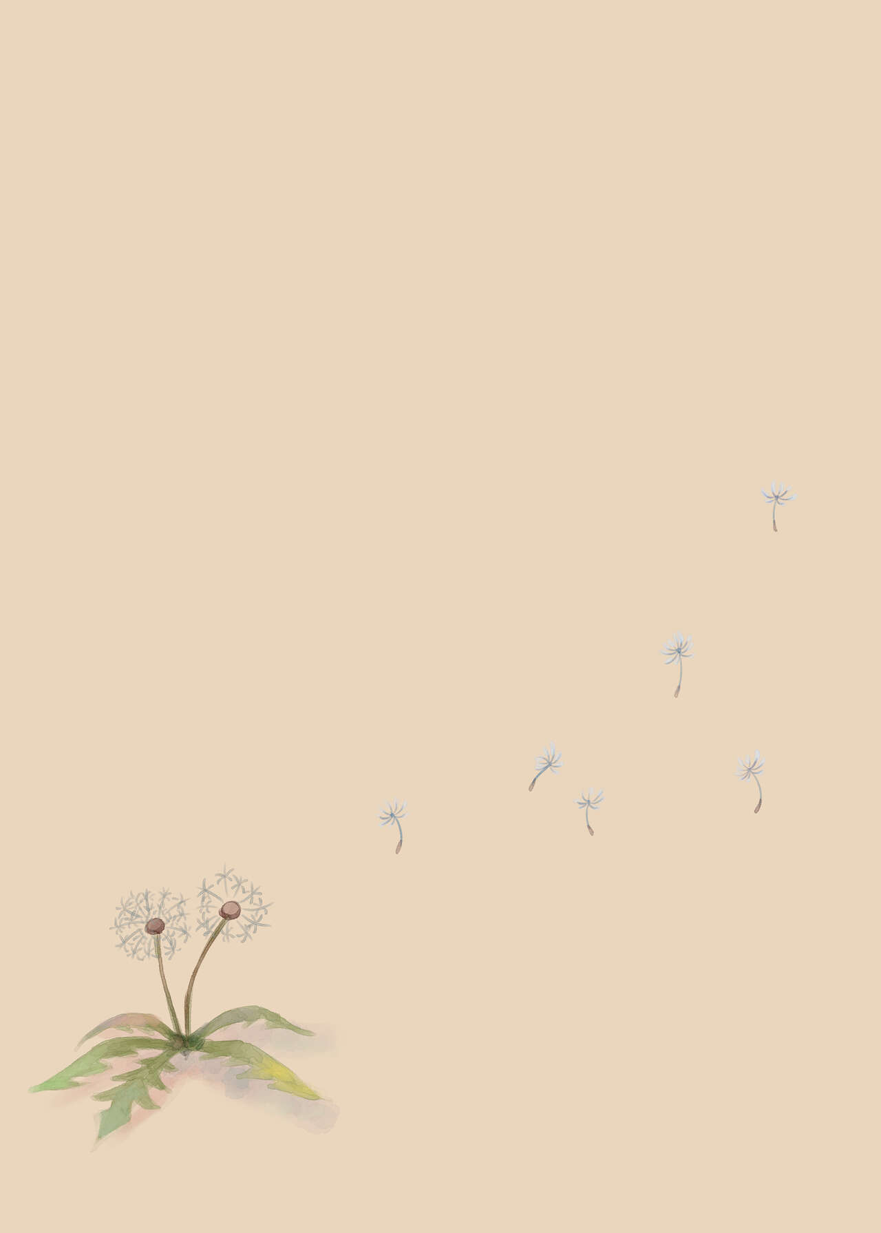 [Tortoiseshell (Kinku)] Tanetsuke Kojiin [Chinese] [Digital] image number 23