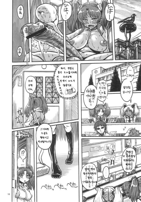 (C72) [Kakumei Seifu Kouhoushitsu (RADIOHEAD)] Sex Sphere (Martian Successor Nadesico) [Korean] [Liberty Library] [Incomplete] Bildnummer 15