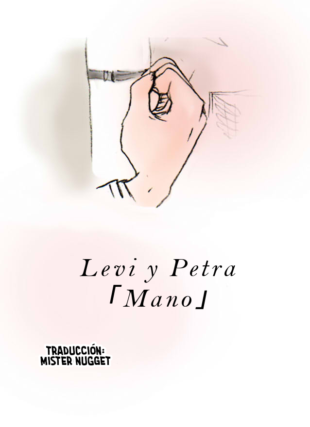 [(Hayashi no yome)] 『Levi y Petra ～Mano～ 』 (Shingeki no Kyojin) [Spanish] [Mr. Nugget] image number 1
