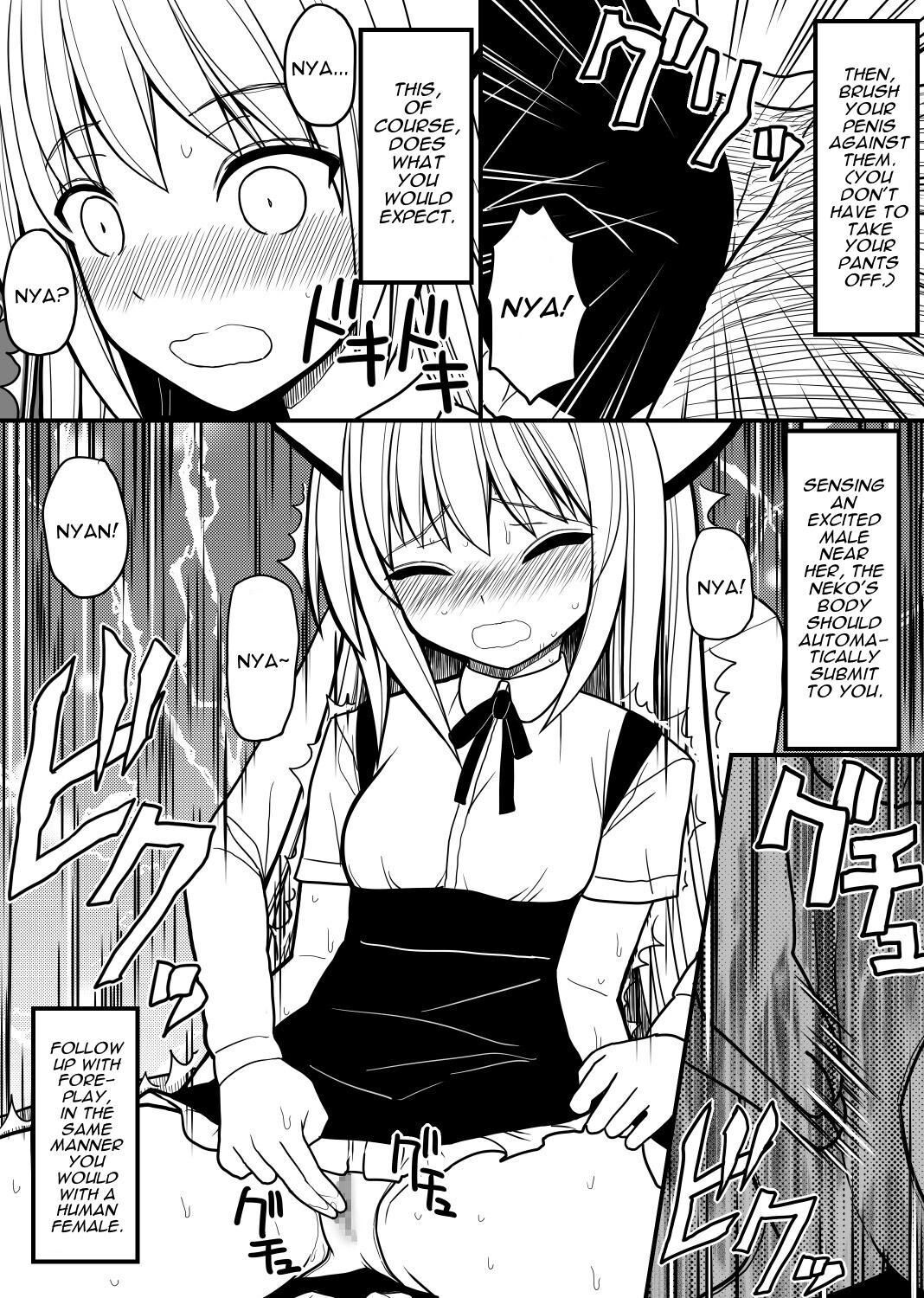 [EsuEsu] Hito neko no kaikata ～Hatsujo-ki-hen～ | How To Raise A Humancat ~Mating Season Edition~ [English] [Darg777 Translations] image number 9