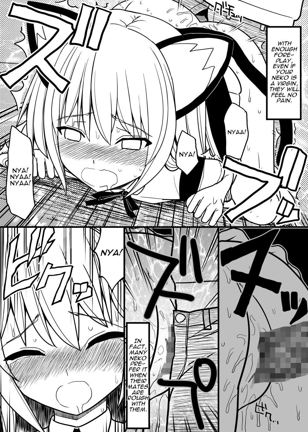 [EsuEsu] Hito neko no kaikata ～Hatsujo-ki-hen～ | How To Raise A Humancat ~Mating Season Edition~ [English] [Darg777 Translations] image number 17