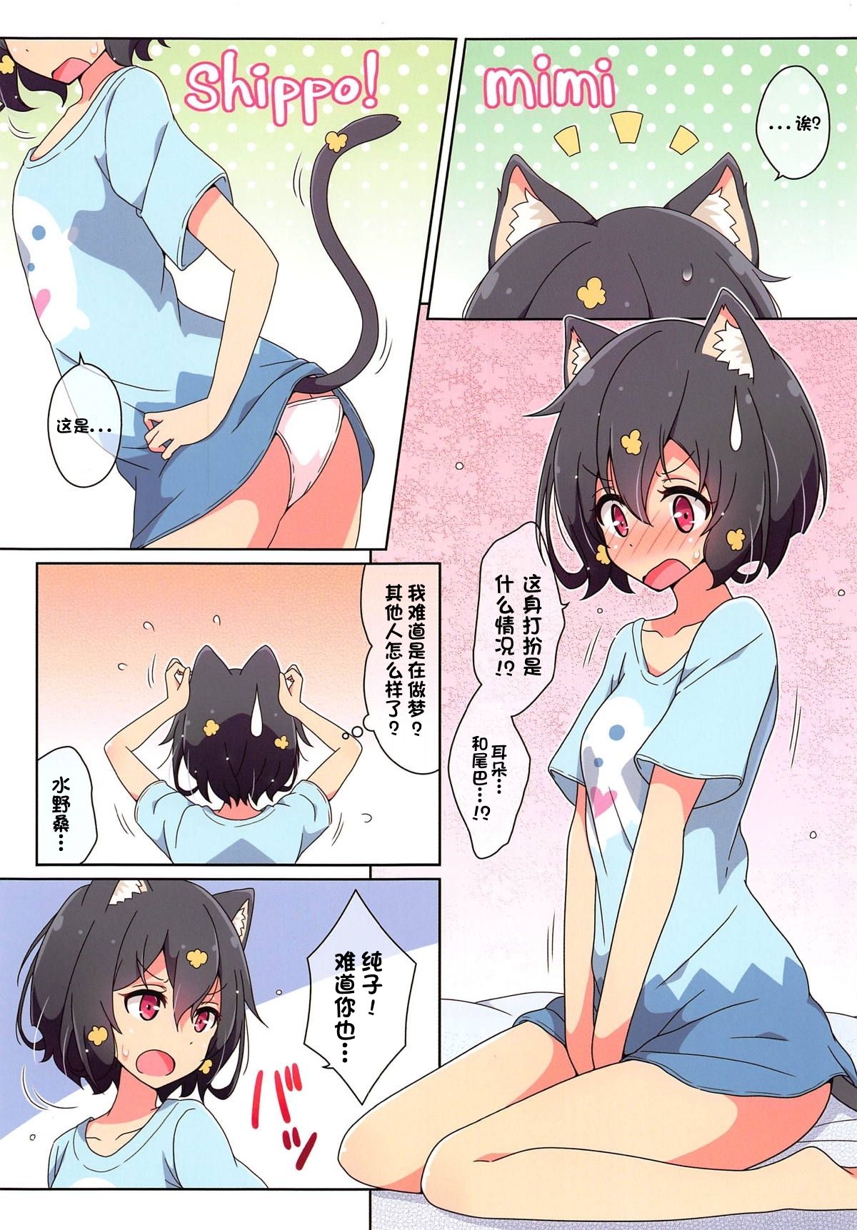 [Melty Pot (mel)] Cat Land SAGA (Zombie Land Saga) [Chinese] [B2P个人汉化] [Digital] 画像番号 3
