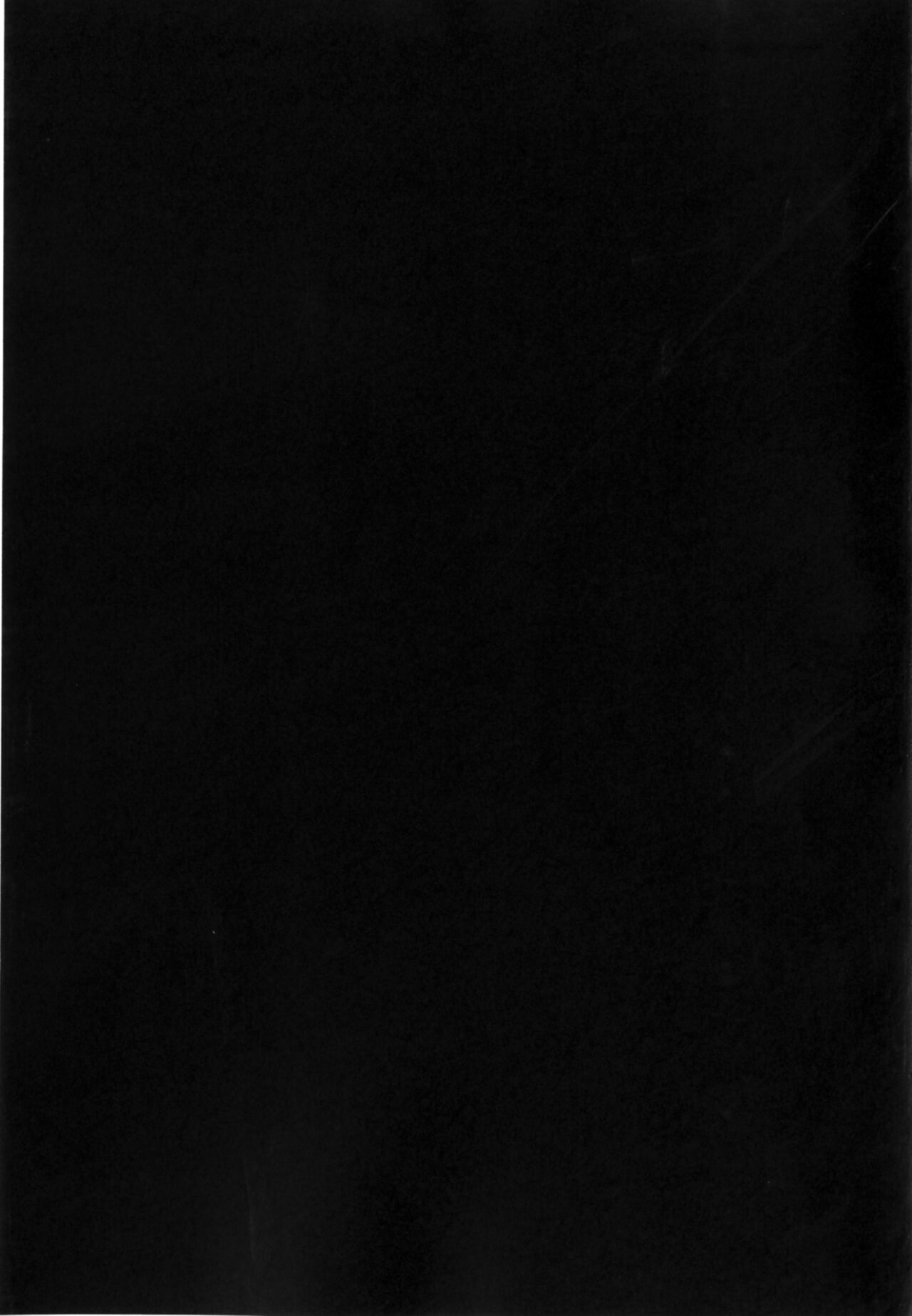 [Monorabbi (Rabbi)] Crossbell no Senka (The Legend of Heroes: Zero no Kiseki, The Legend of Heroes: Ao no Kiseki) [Korean] [Digital] 图片编号 25