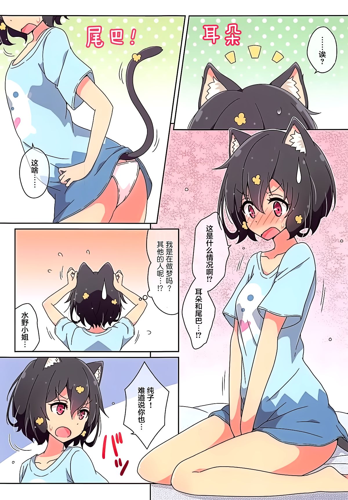 [Melty Pot (mel)] Cat Land SAGA (Zombie Land Saga) [Chinese] [大友同好会] 이미지 번호 3