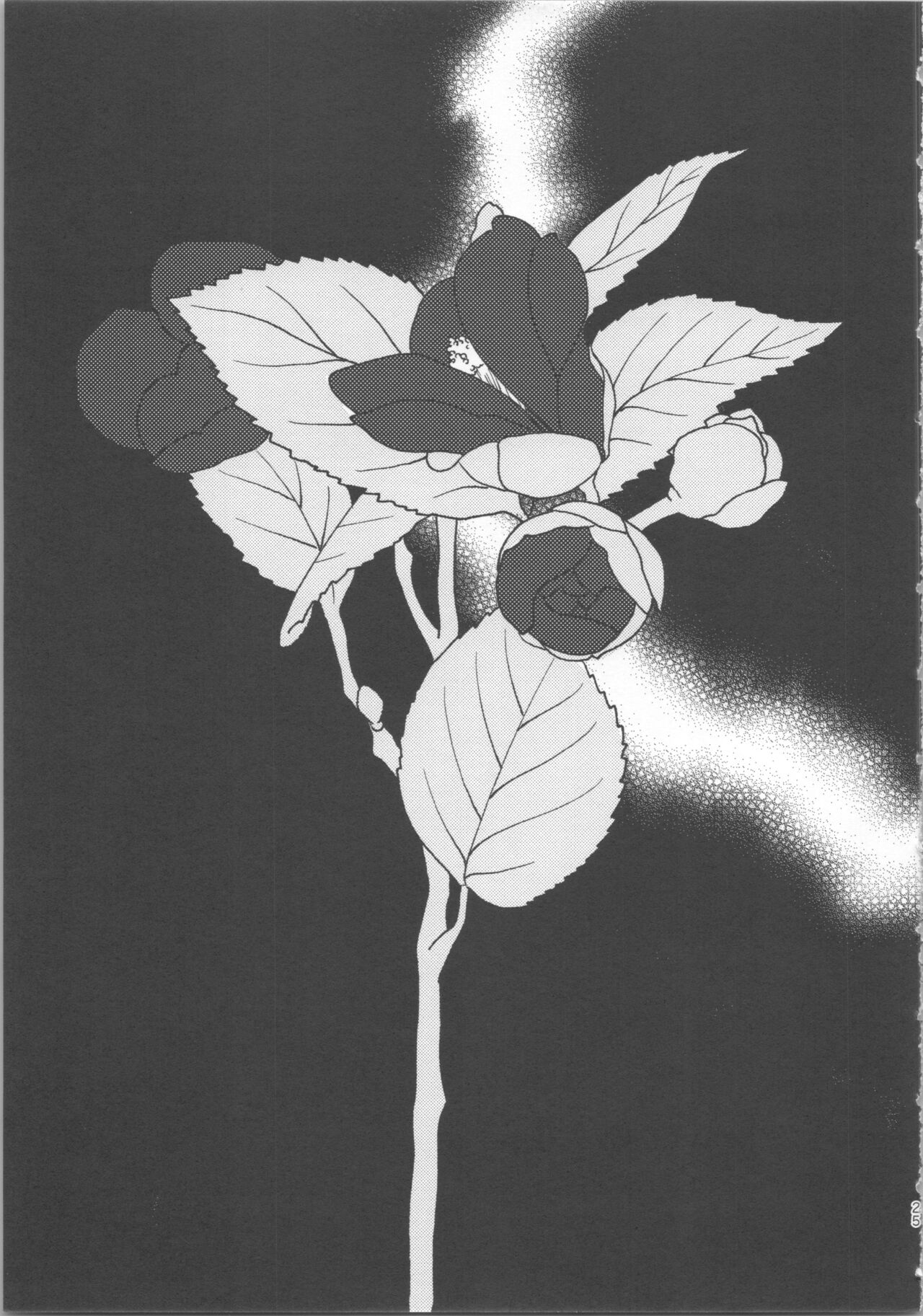 (COMITIA145)[sheepfold(sheepD)]玉響の花筐【透明声彩汉化组】 imagen número 24