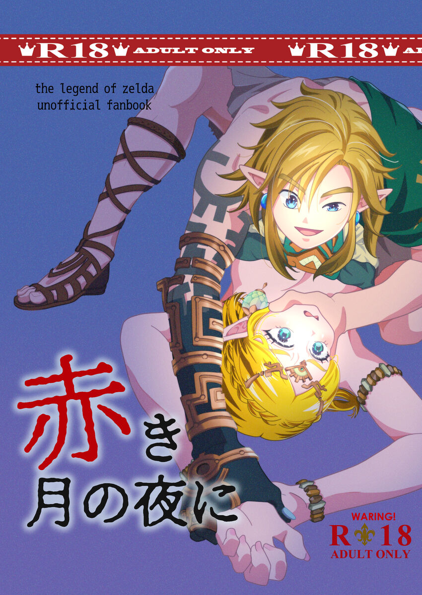 [Meitaro]Shinkan sanpuru akaki tsuki no yoru ni(The Legend of Zelda) изображение № 1