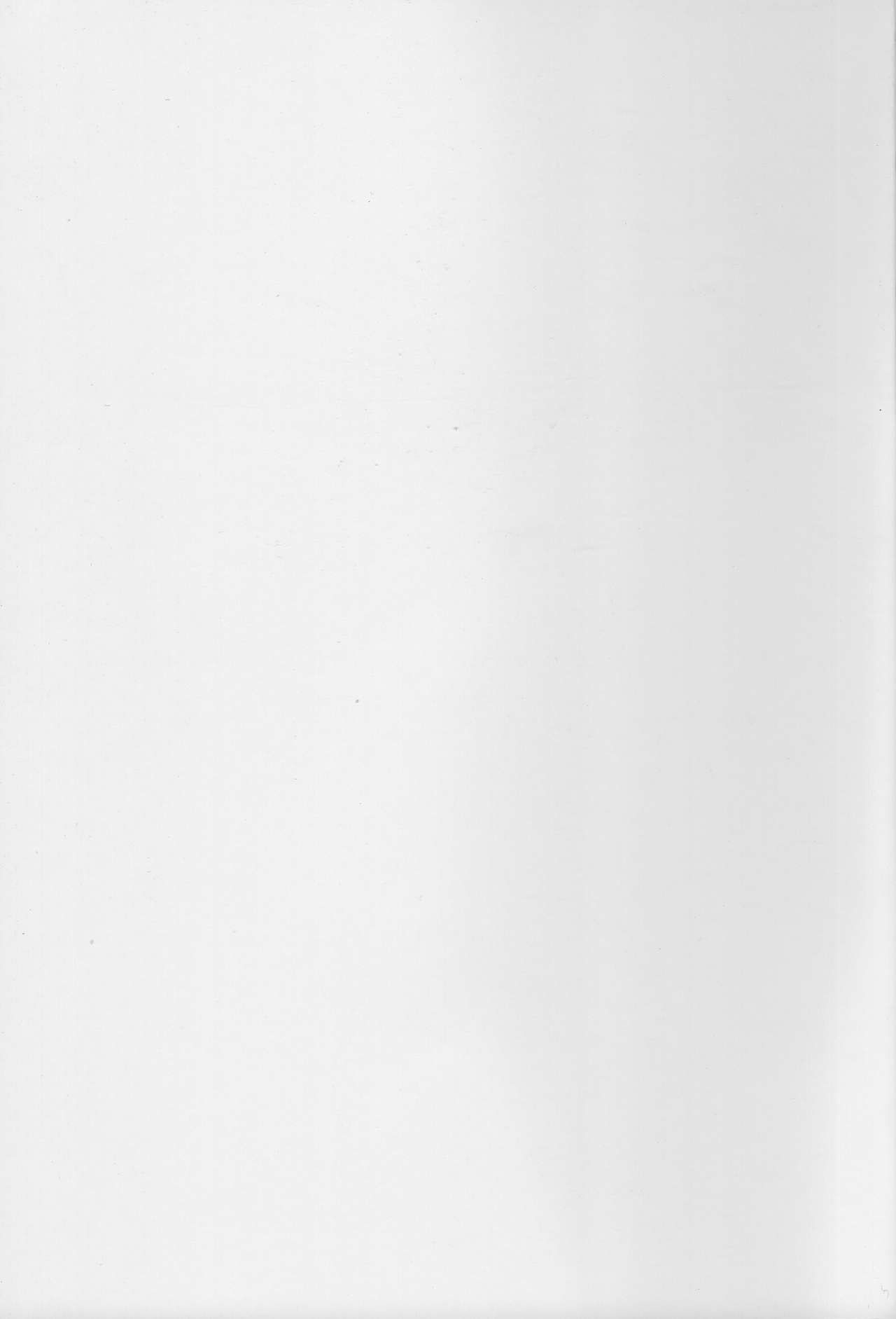 (COMIC1☆16) [Momoshiba Anzu (Nafutan)] Kitaku Zenya no Shuushin Mae. (Zero no Tsukaima) image number 27