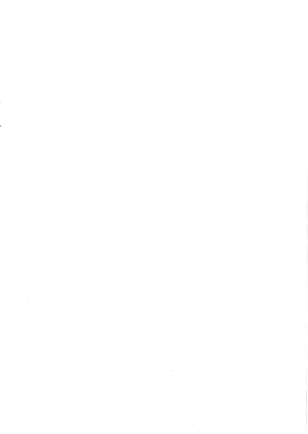 (C104) [nature carute (Kuzumoti)] Yoru no Tobari ga Akeru made | 夜幕在天明之前 (Girls' Frontline) [Chinese] [白杨汉化组] Bildnummer 3