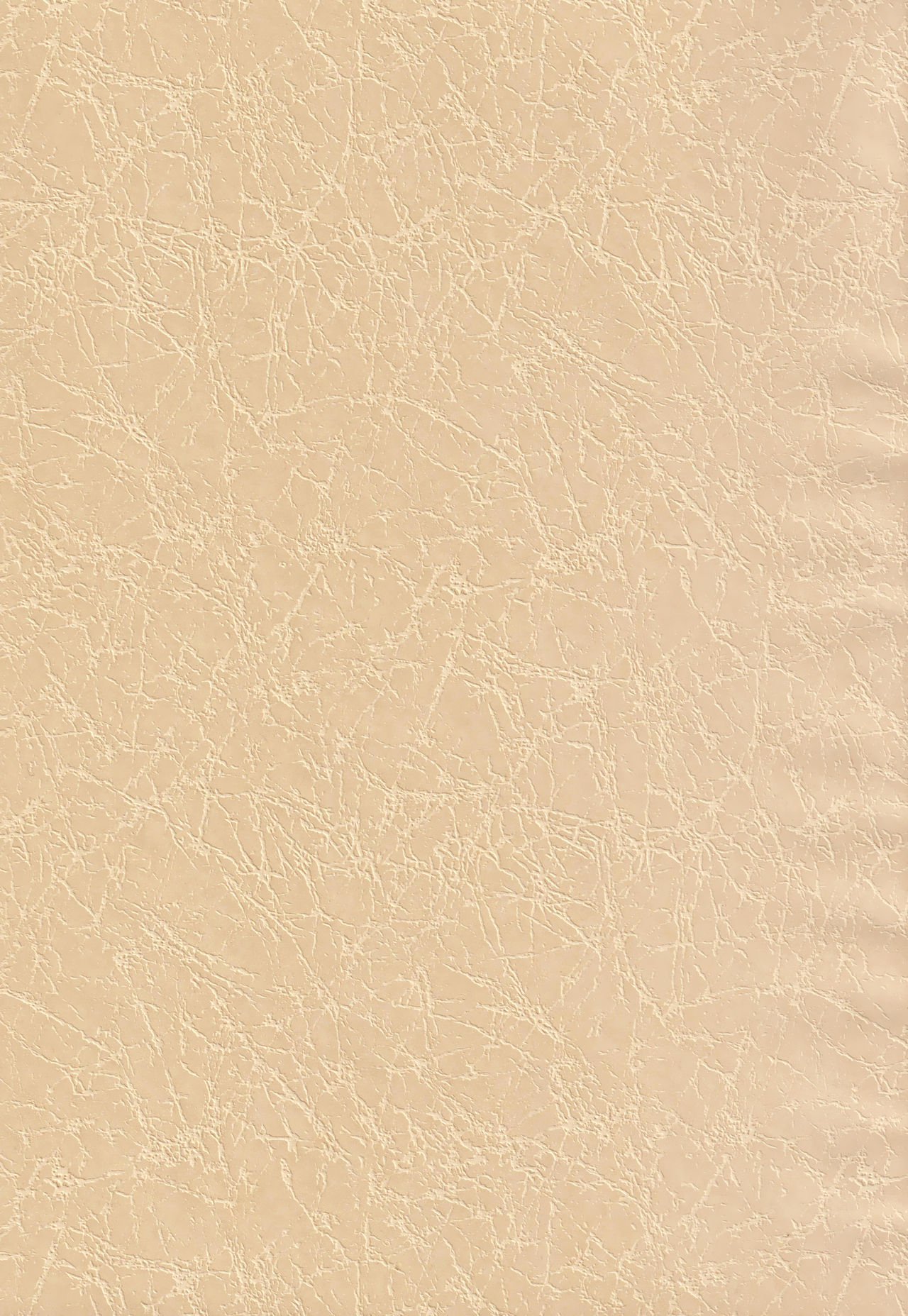 (C97) [Nekomasshigura (Uzukinoko)] CLOSED VACATION (BLAZBLUE) изображение № 3