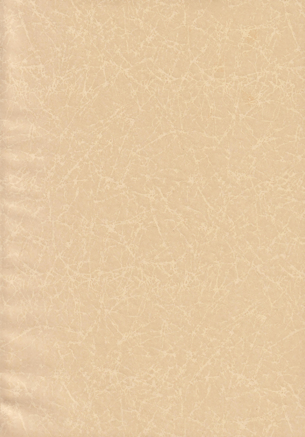 (C97) [Nekomasshigura (Uzukinoko)] CLOSED VACATION (BLAZBLUE) изображение № 4