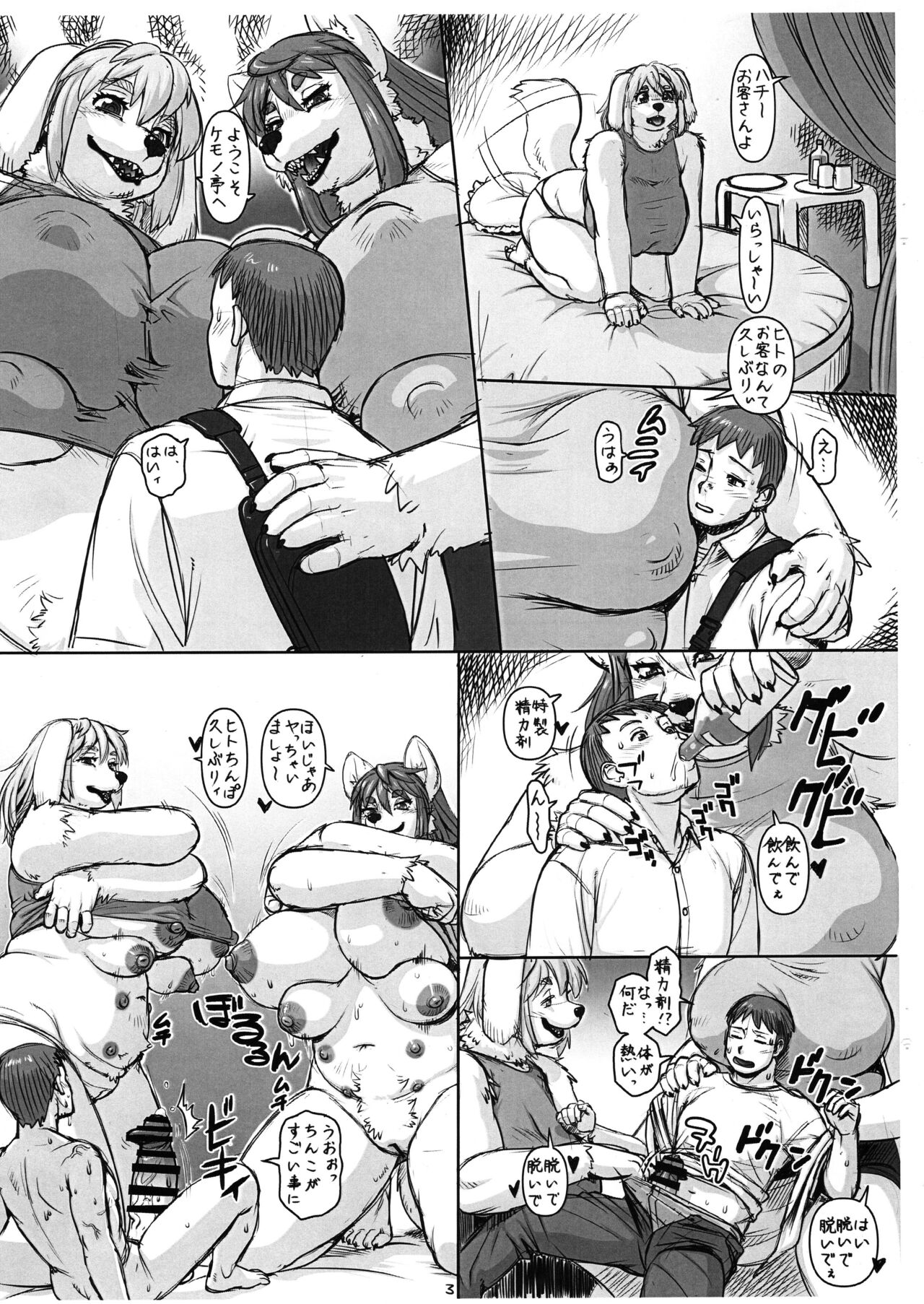 (C104) [TEAM SHUFFLE (Trump)] Uraroji no Kemotei numero di immagine  3