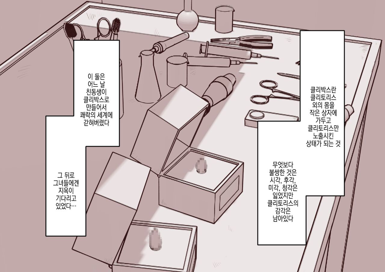 [Hachihachihachi] Cli Box ni Batta Onee-chan-tachi no Cli o Ijiri Taosu | 클리박스가 된 언니들의 클리를 마구 희롱한다 [Korean] image number 3