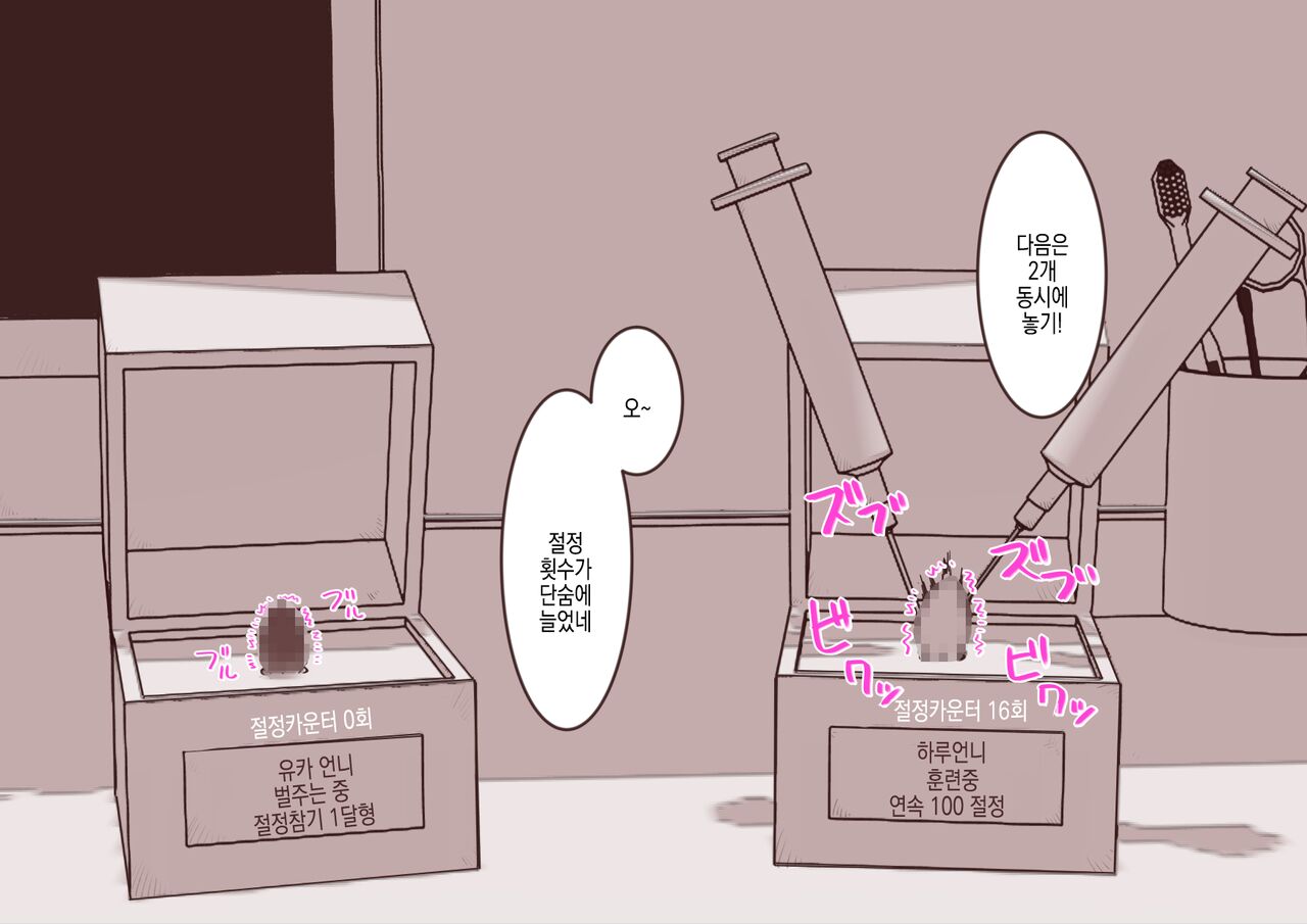 [Hachihachihachi] Cli Box ni Batta Onee-chan-tachi no Cli o Ijiri Taosu | 클리박스가 된 언니들의 클리를 마구 희롱한다 [Korean] image number 13