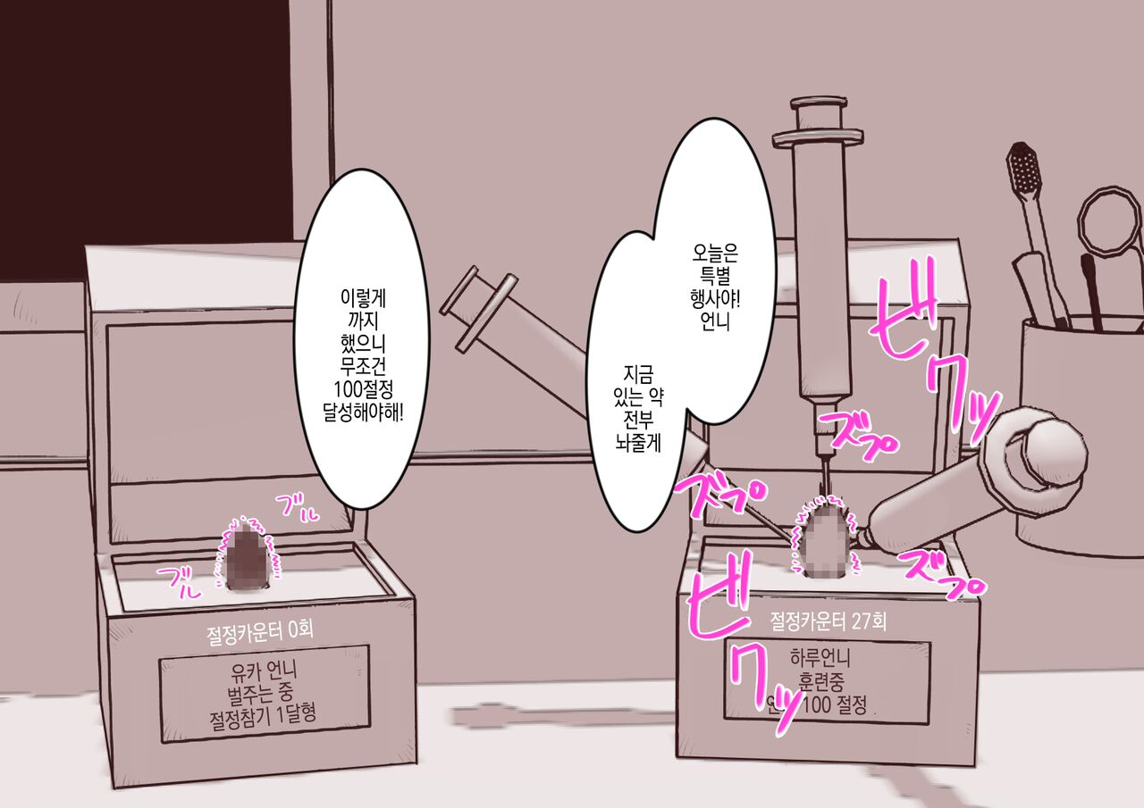 [Hachihachihachi] Cli Box ni Batta Onee-chan-tachi no Cli o Ijiri Taosu | 클리박스가 된 언니들의 클리를 마구 희롱한다 [Korean] image number 14