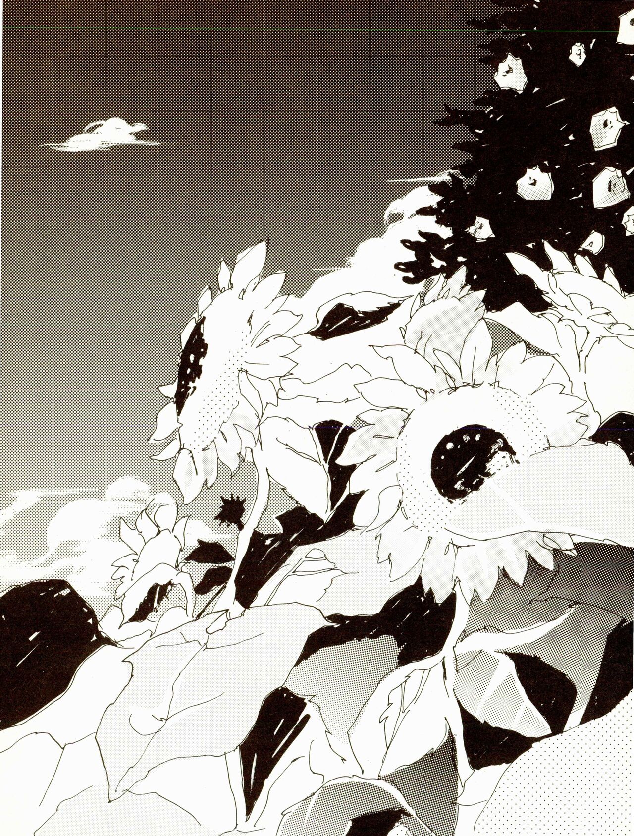 [Aozora Gundan (Hideyoshico)] 百年夏日。 (One Piece) image number 19