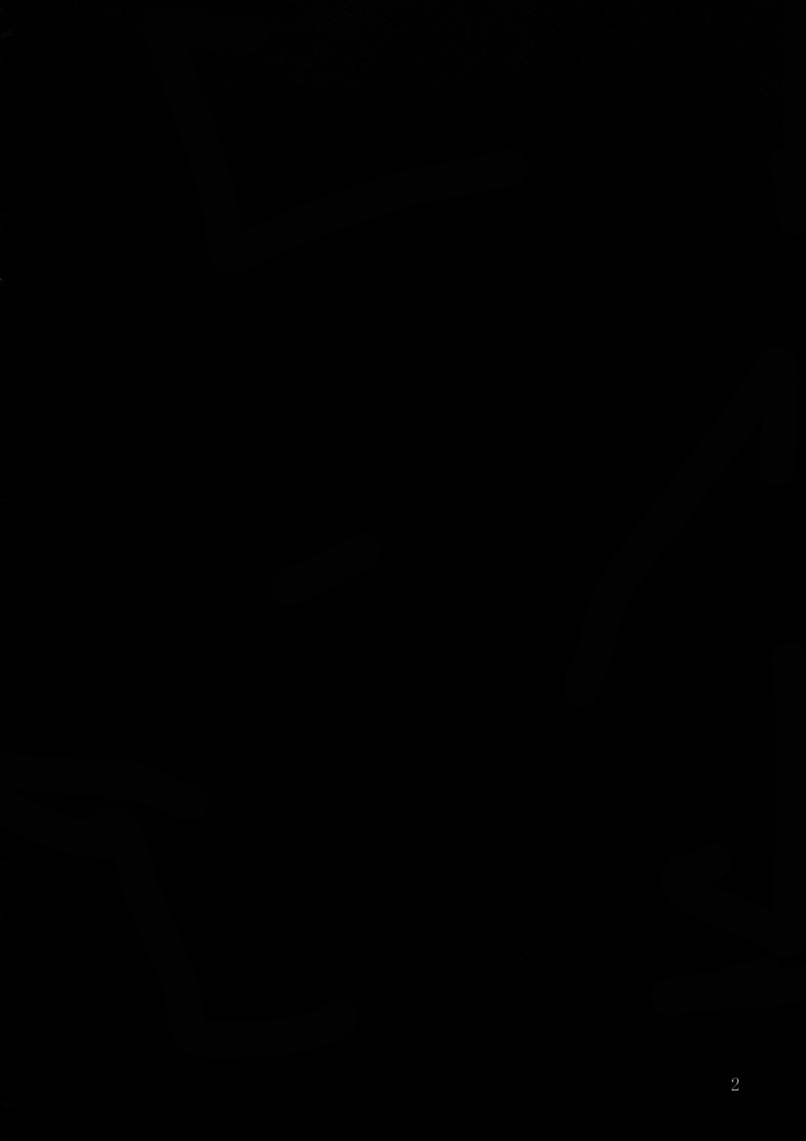 (C72) [Insert (Ken)] Gentei Hon (Final Fantasy VII) [Chinese] 이미지 번호 2