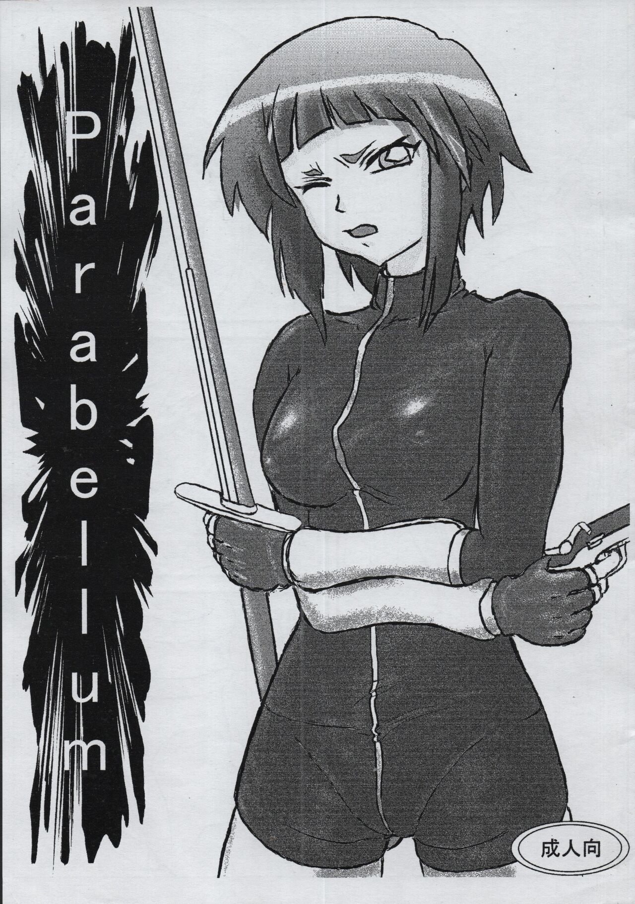 (C75) [Yorozu Ankake (Wafuu An)] Parabellum Junbigou (Zero no Tsukaima) 이미지 번호 1