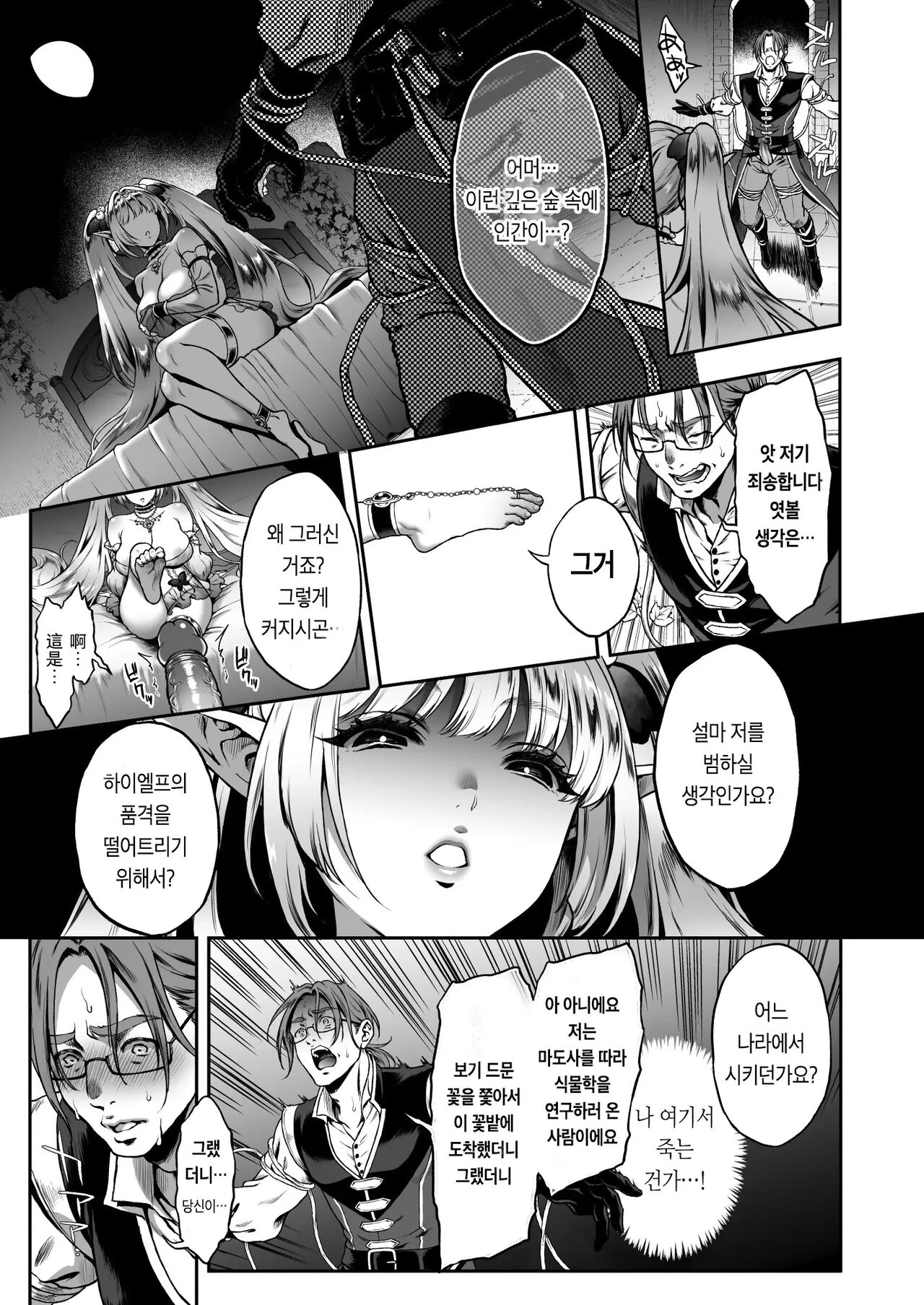 [H.B.A (Usagi Nagomu)] Yuukyuu no Shou Elf 3 "Mugen" Zenpen | 유구의 창엘프3 「몽환」전편 [Korean]  [팀 마스터] [Decensored]  [Digital] image number 12