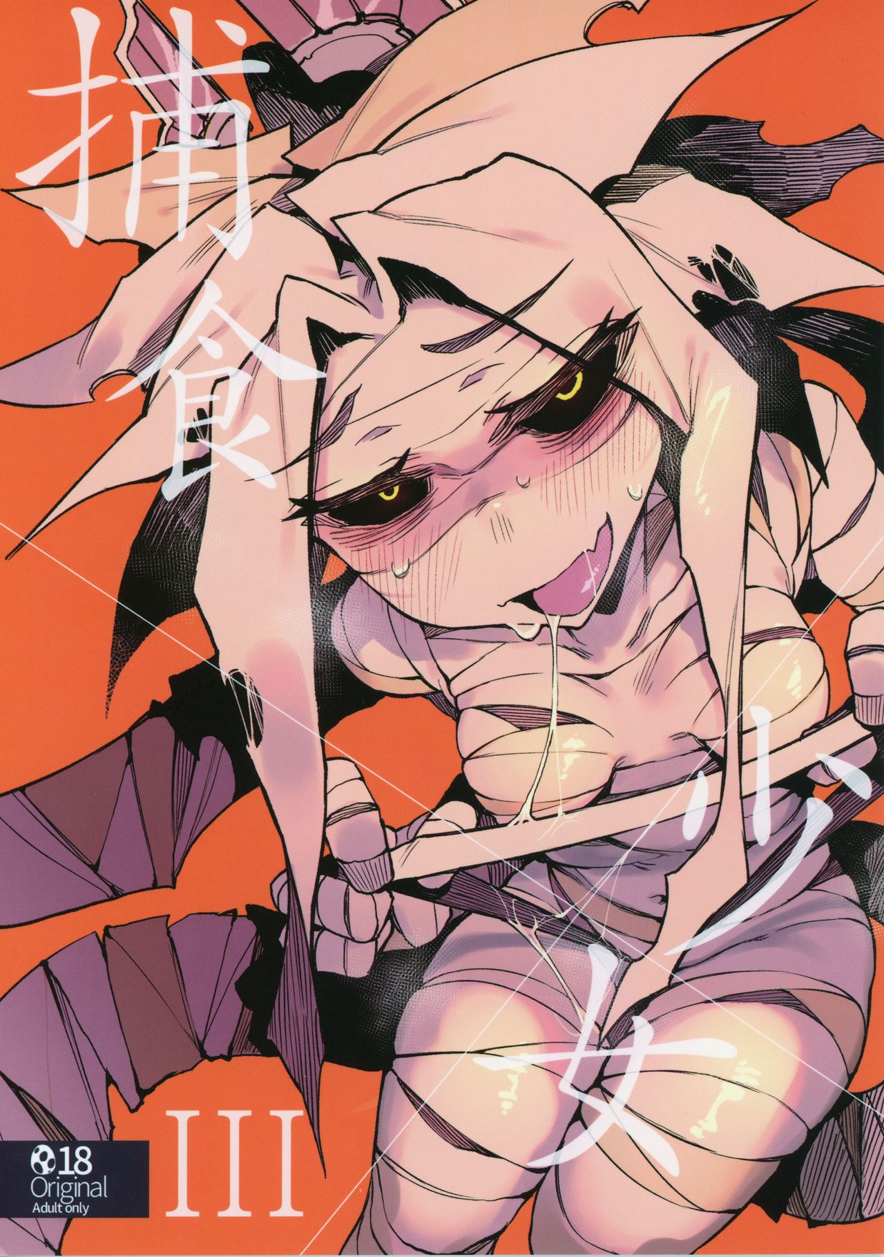 (C97) [Hoshoku Shoujo (Karasu Chan)] Hoshoku Shoujo III Bildnummer 1