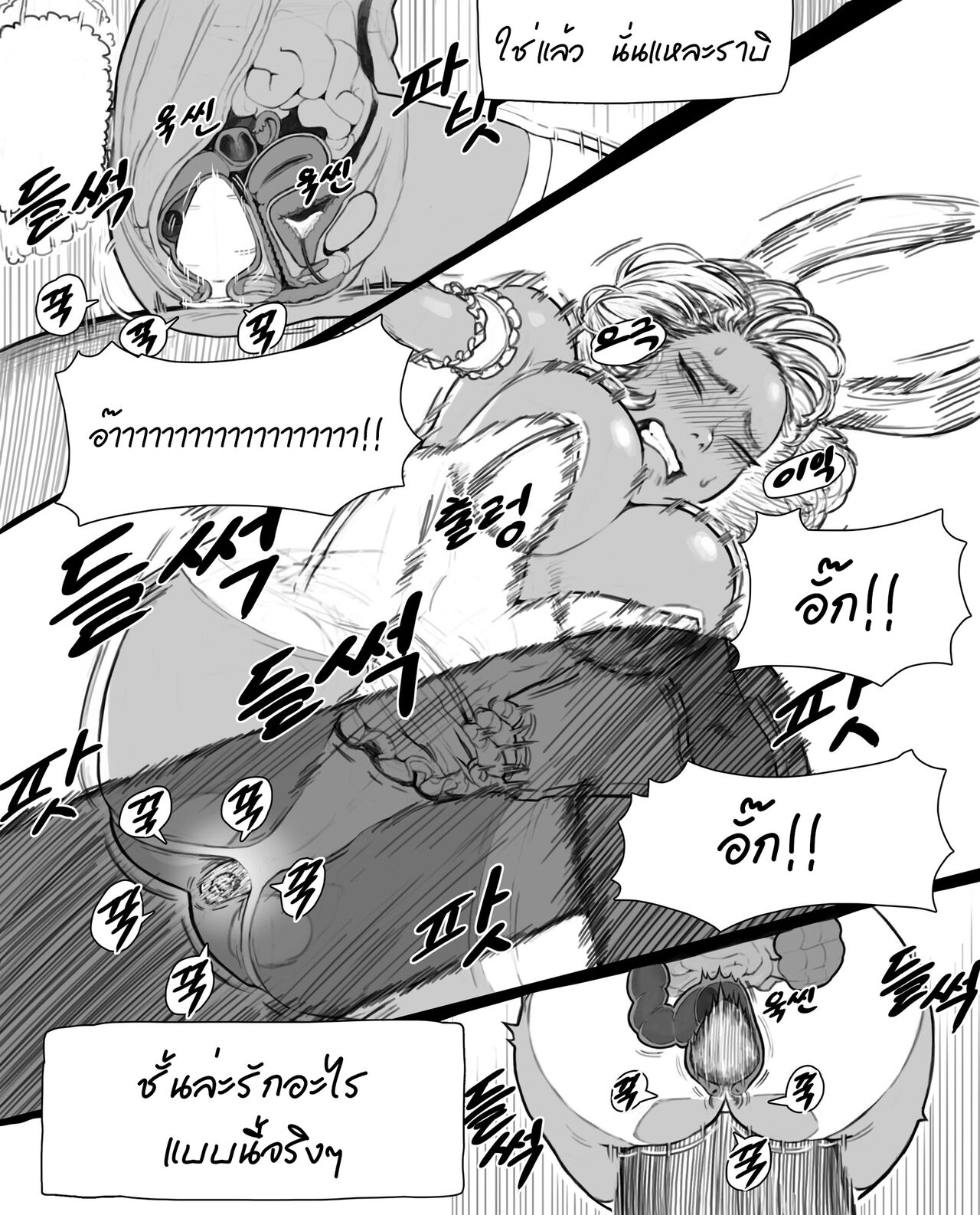 [joedongsook] Rabi23+extra [THAI] 이미지 번호 14