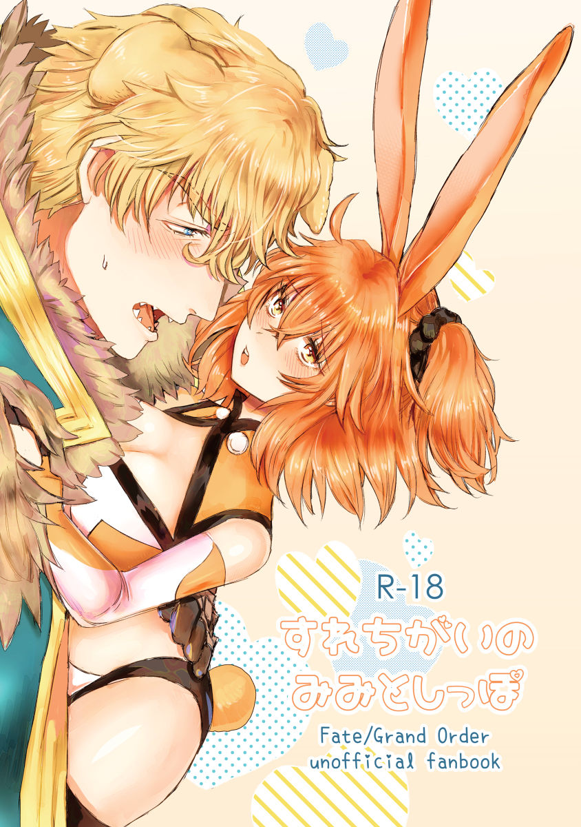 (Super ROOT4to5 2019) [Hanikoko (Rando)] Surechigai no Mimi to Shippo (Fate/Grand Order) [Sample] изображение № 1