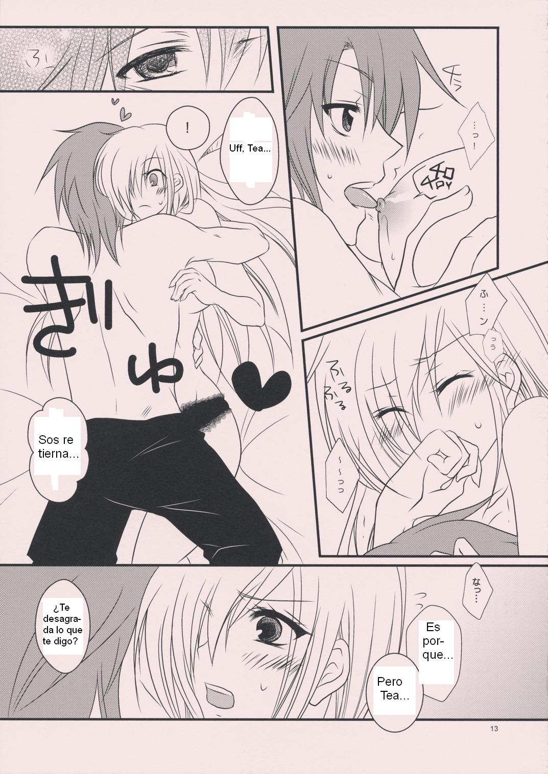 (C75) [Citrus Air (Kazuki)] meLt (Tales of the Abyss) [Spanish] [Biblioteca Hentai] 이미지 번호 12