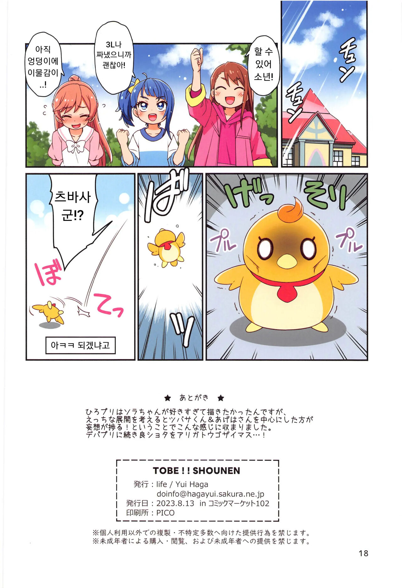 (C102) [life (Haga Yui)] Tobe!! Shounen (Hirogaru Sky! Precure) [Korean] изображение № 17