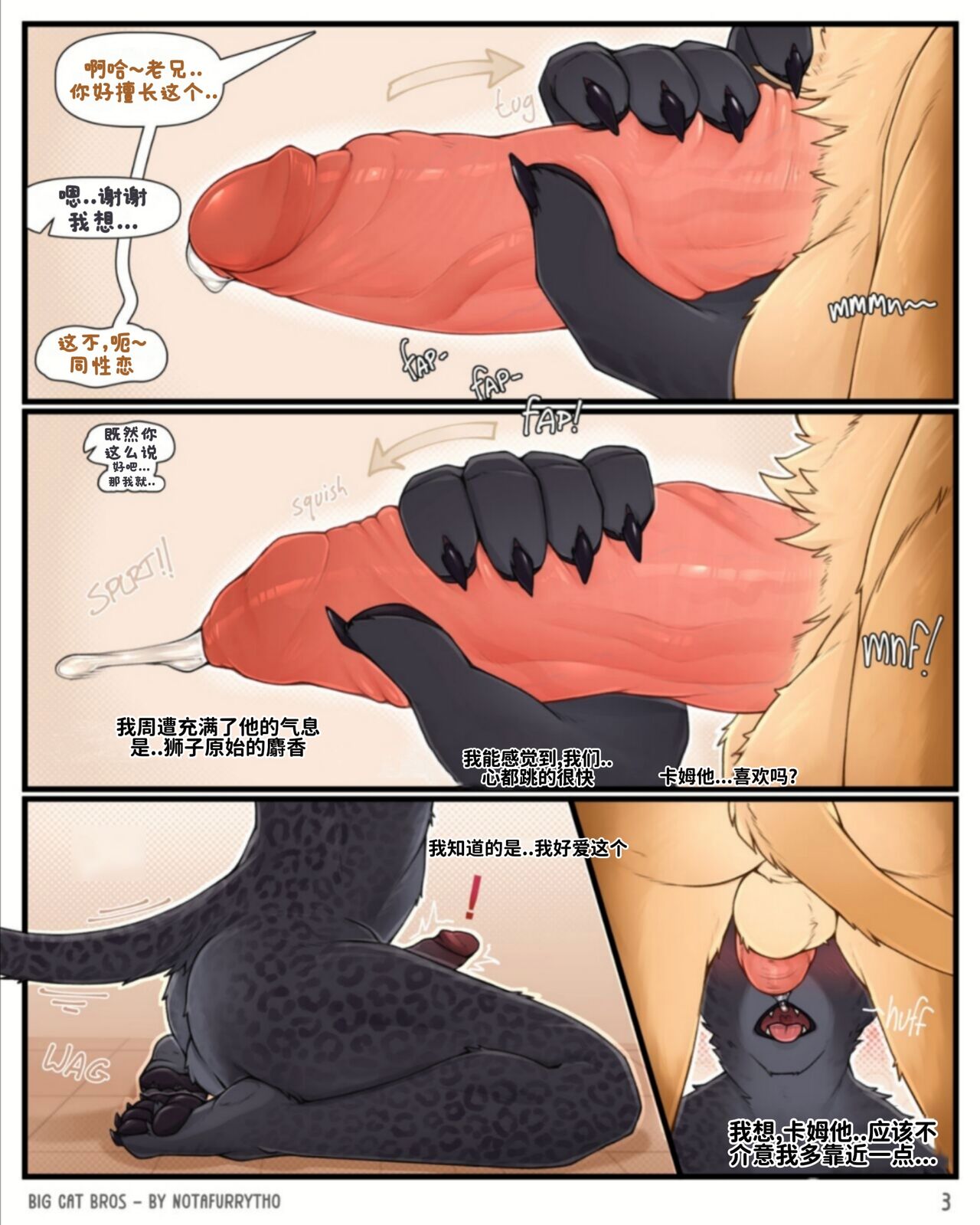 Big Cat Bros【大猫兄弟】 image number 3