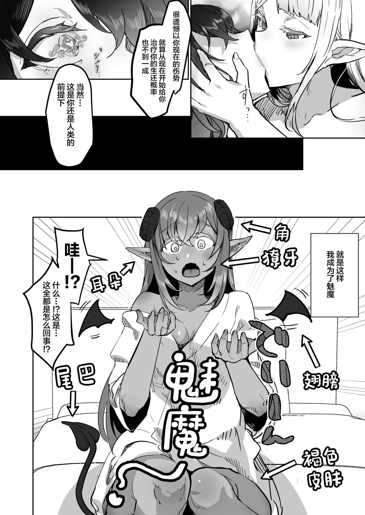 [Aburanabeshiki (puru)] Futanari Chiryou Succubus Clinic Zero ~Succubus Kenshuu Choukyou Hen~ [Chinese] [Digital] numero di immagine  6