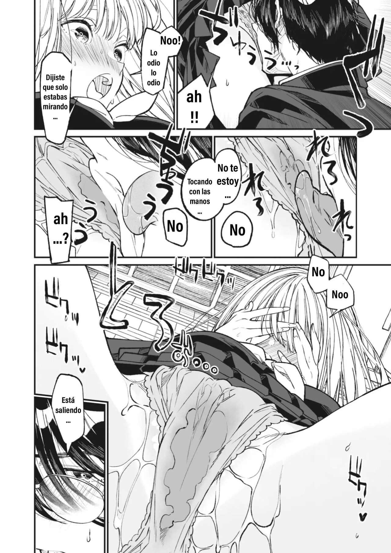 Mi Maria 图片编号 13