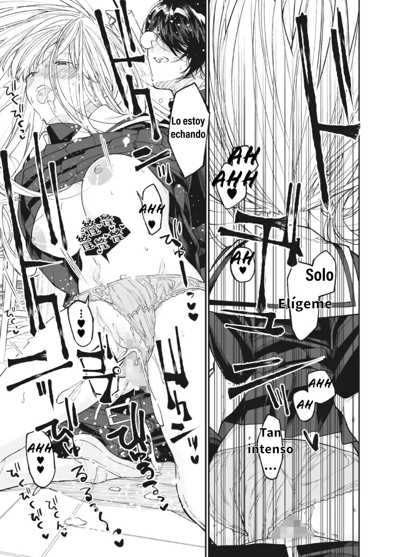 Mi Maria 图片编号 26