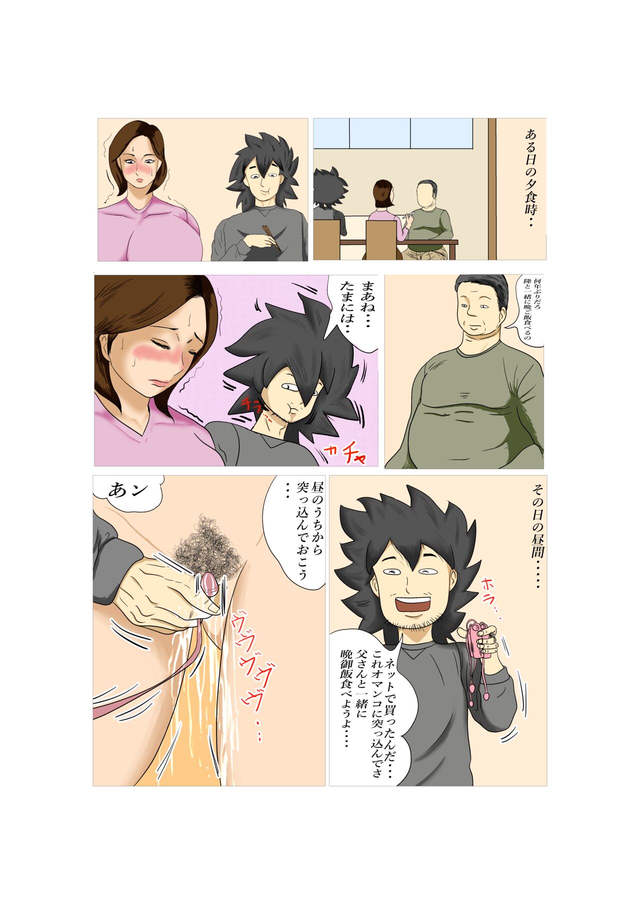 引きこもり息子にNTR Mother 图片编号 11