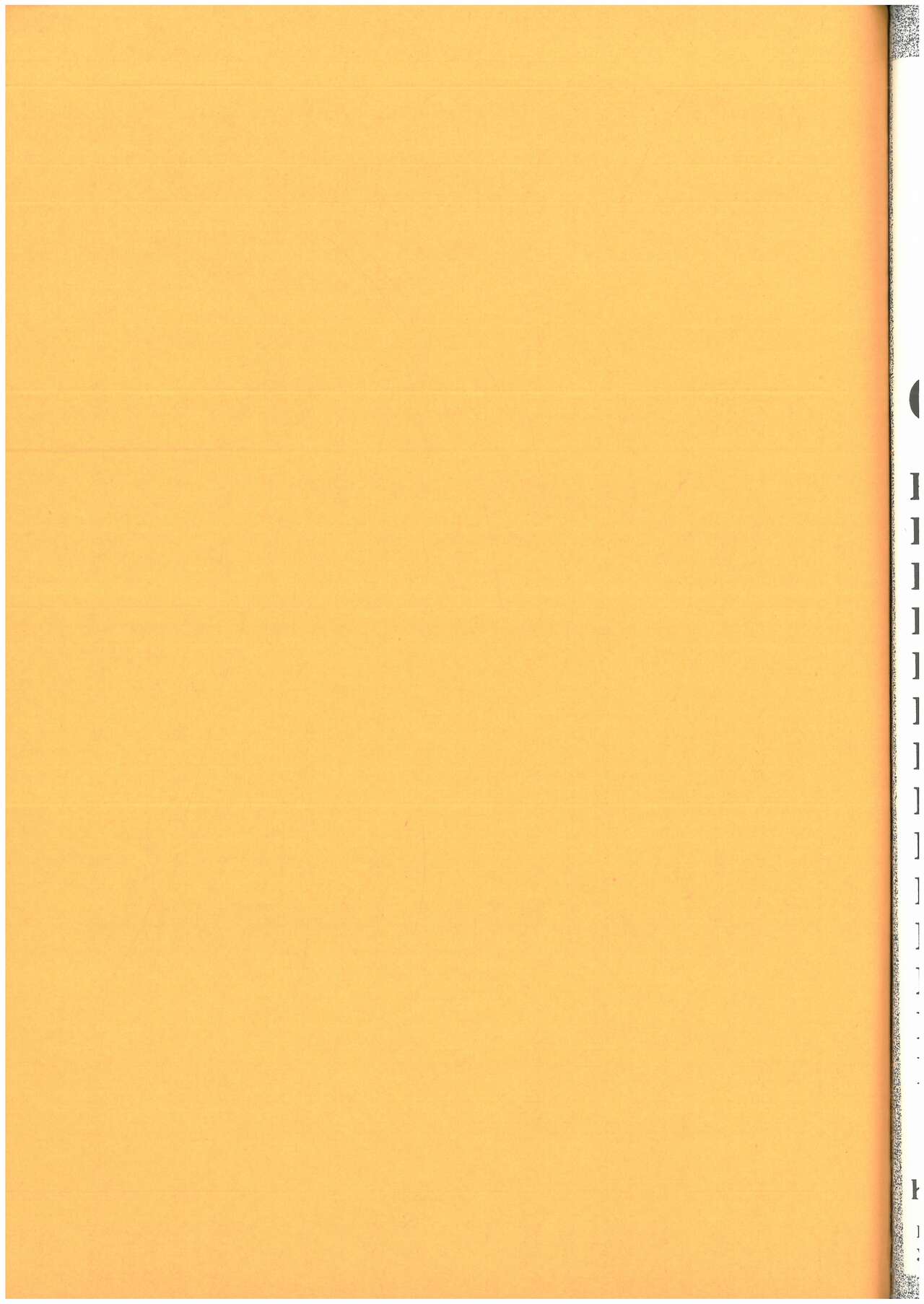 [MGS2][2002] SURVIVAL FILE 2 Yoshi yosino ya honpo image number 26