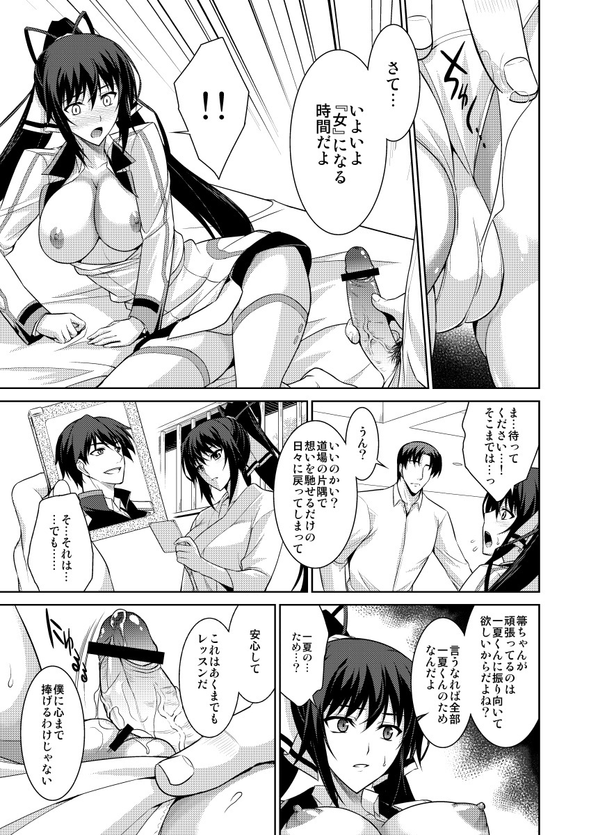 [Type-G (Ishigaki Takashi)] Broom on the Frontline + α (IS <Infinite Stratos>) [Digital] 图片编号 10