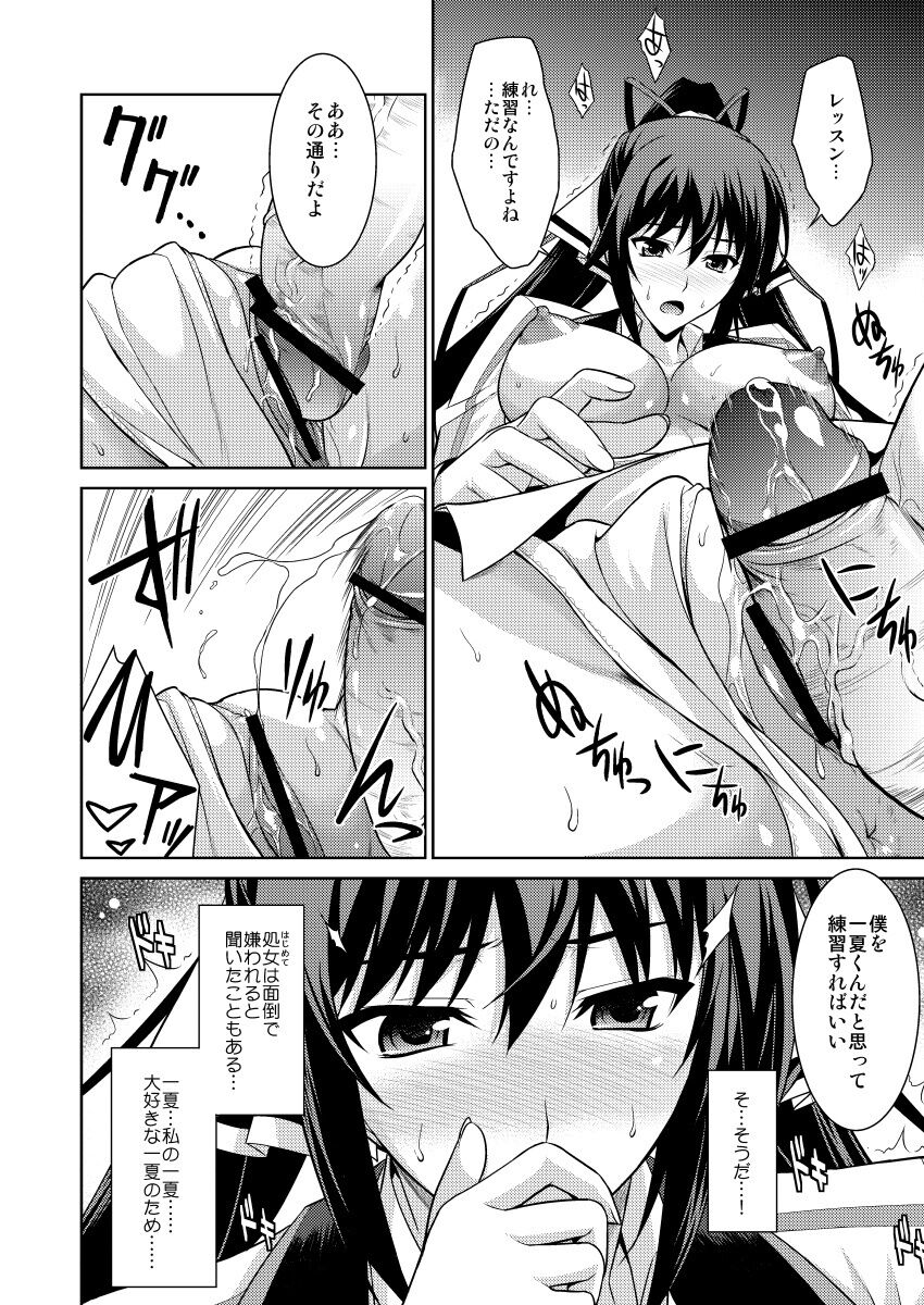 [Type-G (Ishigaki Takashi)] Broom on the Frontline + α (IS <Infinite Stratos>) [Digital] 图片编号 11