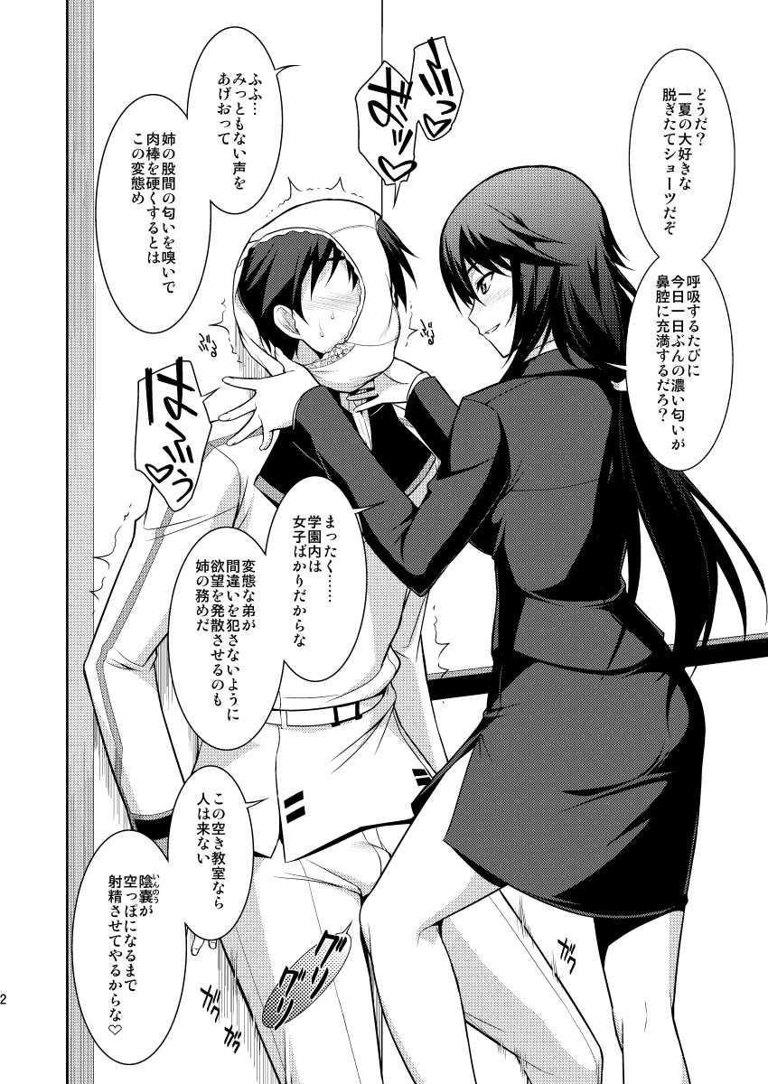 [Type-G (Ishigaki Takashi)] Broom on the Frontline + α (IS <Infinite Stratos>) [Digital] 图片编号 35