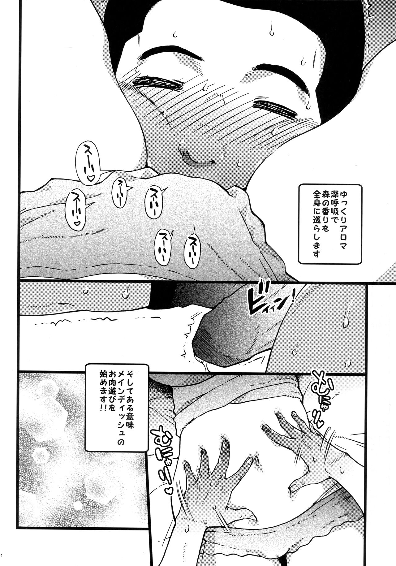 (C87) [Okina Keikaku (Shiwasu no Okina)] Pochaco Kawaii Kawaii (Super Sonico) 图片编号 13