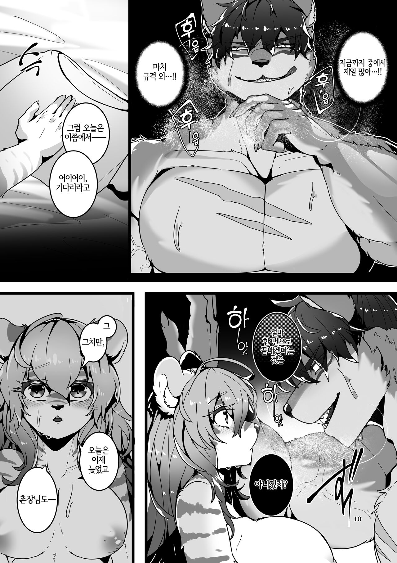 [SunBirth (Tach8)] Kyoei no Hanayome [Korean] [Digital] [LWND] image number 11