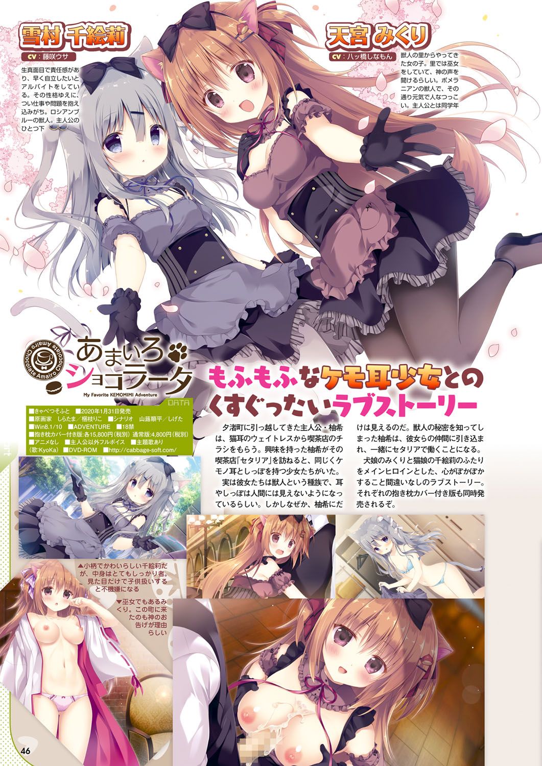 Monthly Megastore 2020-02 이미지 번호 39