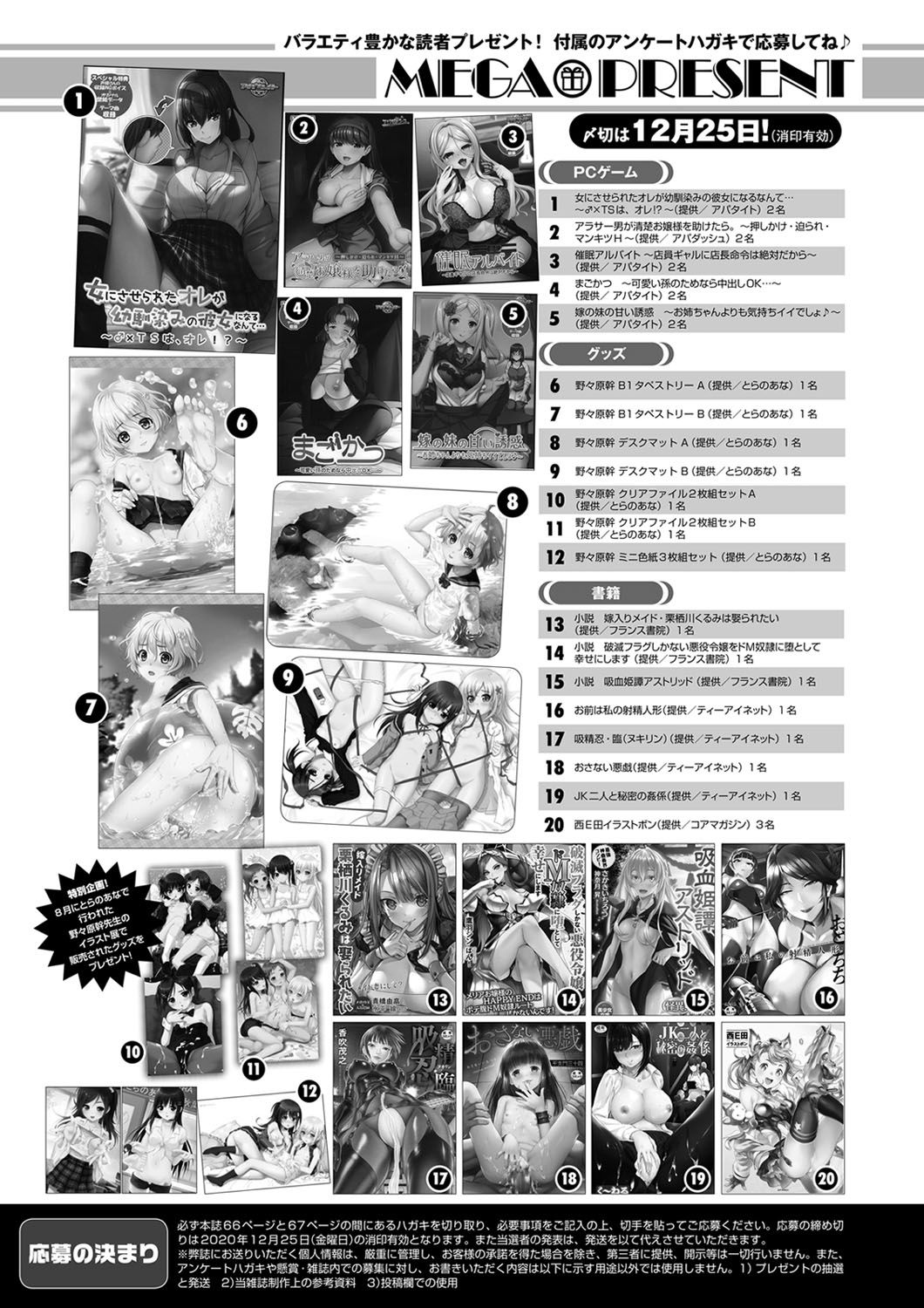 Monthly Megastore 2021-01 图片编号 67