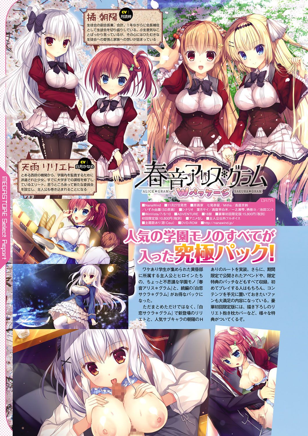 Monthly Megastore 2020-12 图片编号 55