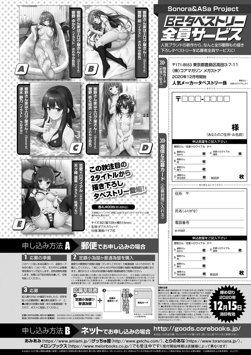 Monthly Megastore 2020-12 图片编号 70